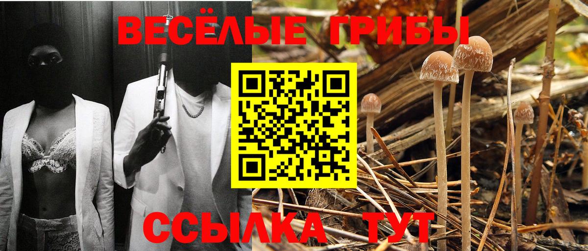 Галлюциногенные грибы MAGIC MUSHROOMS Рубцовск