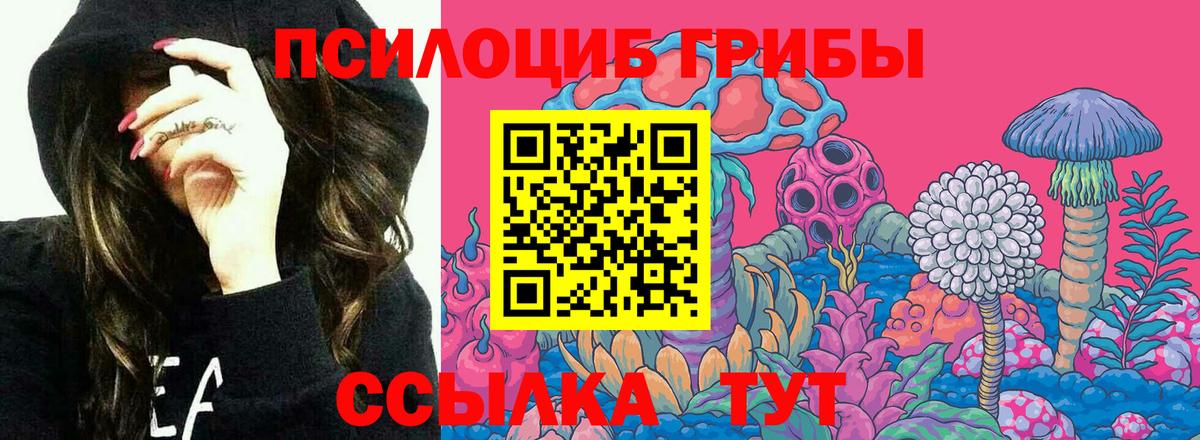 Галлюциногенные грибы ЛСД  Вход с VPN  Рубцовск 